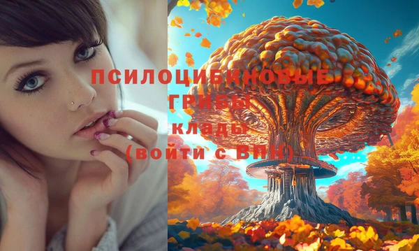 амф Вяземский