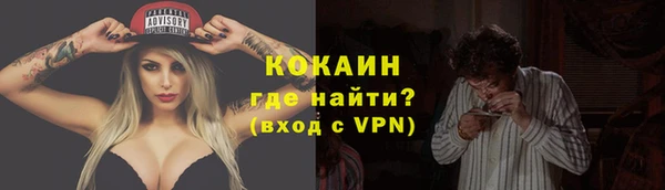 амф Вяземский