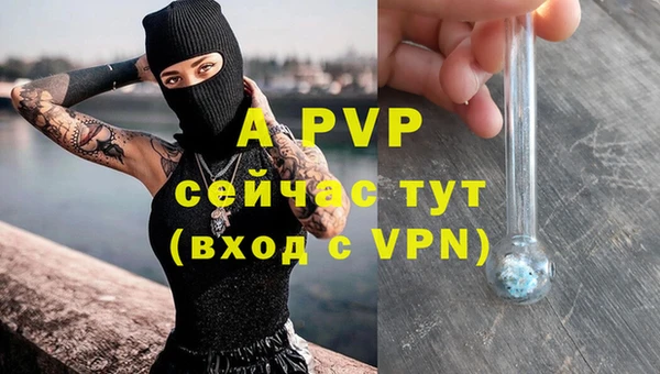 амф Вяземский