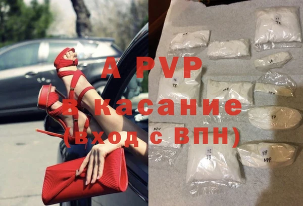 амф Вяземский