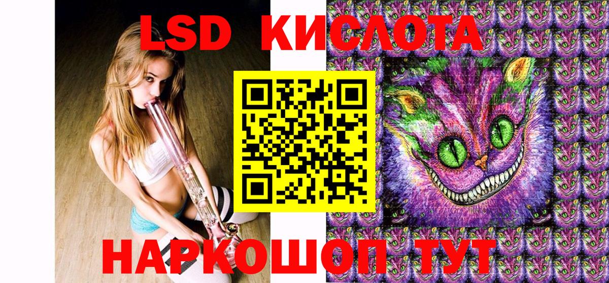 Галлюциногенные грибы Краснознаменск