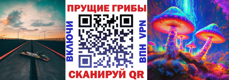 Псилоцибиновые грибы мицелий  хочу наркоту  мориарти какой сайт  Краснознаменск 