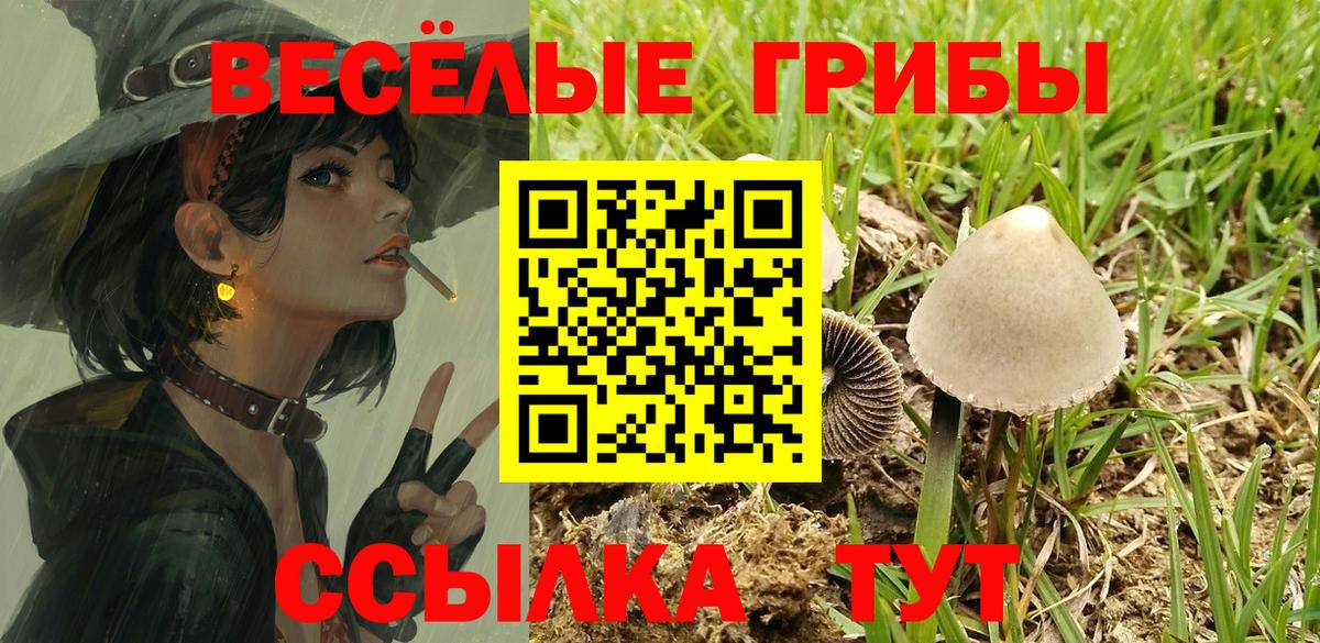 Краснознаменск  Галлюциногенные грибы Psilocybine cubensis  Вход с VPN 